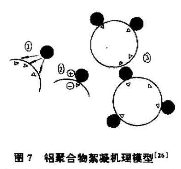 聚合鋁與顆粒物的相互作用