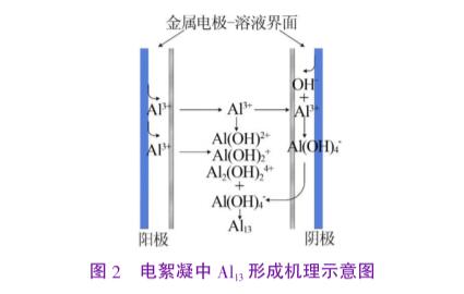 圖2電絮凝中Al13形成機(jī)理示意圖